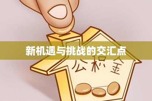 冀州新机遇与挑战的交汇点