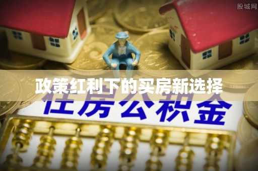 冀州政策红利下的买房新选择