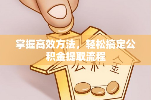 冀州掌握高效方法，轻松搞定公积金提取流程